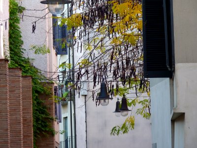 P1270723