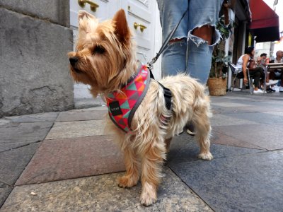 Out on the town, new hairstyle, well dressed