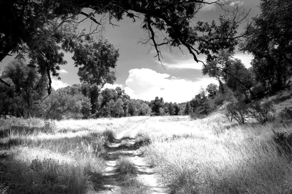 AZ - SYCAMORE CANYON   (1)