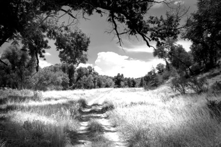 AZ - SYCAMORE CANYON   (1)