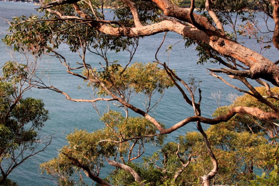 Taronga-Middle-Head-060716-026