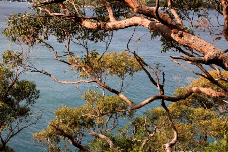 Taronga-Middle-Head-060716-026