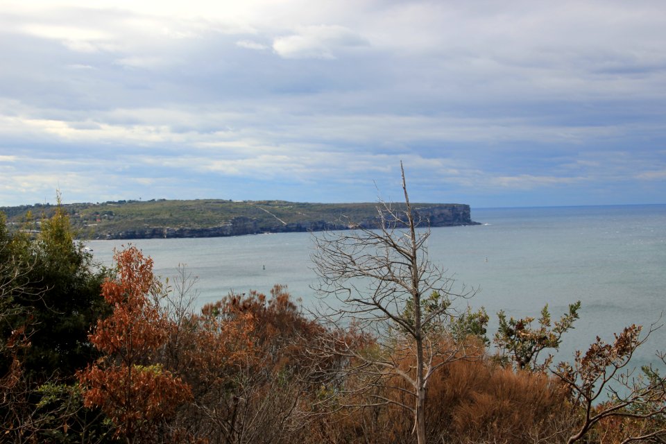 Taronga-Middle-Head-060716-043