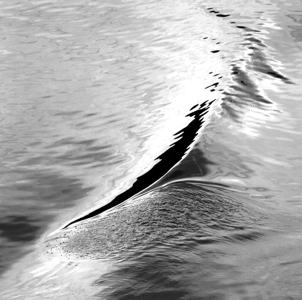 09 - AK - JUNEAU - 13 BW