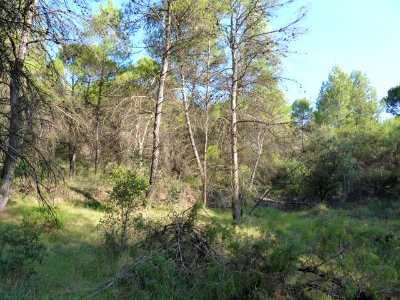 P1260359