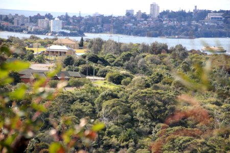 Taronga-Middle-Head-060716-050