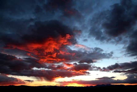 VIEW FROM THE HOUSE - 0253 (1-17-2017) -01 watercolor