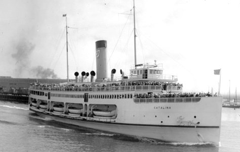 4196-SS CATALINA - WRIGLEY