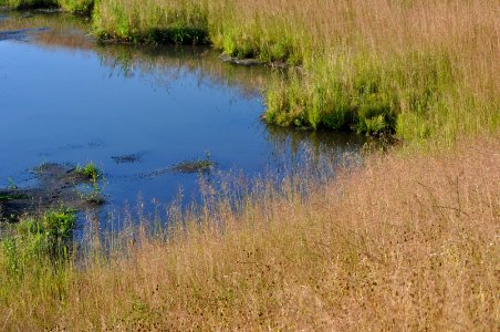 Biotope1 photo