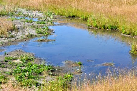 Biotope4 photo