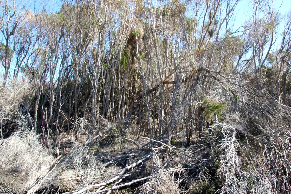 Bundeena-100816 58