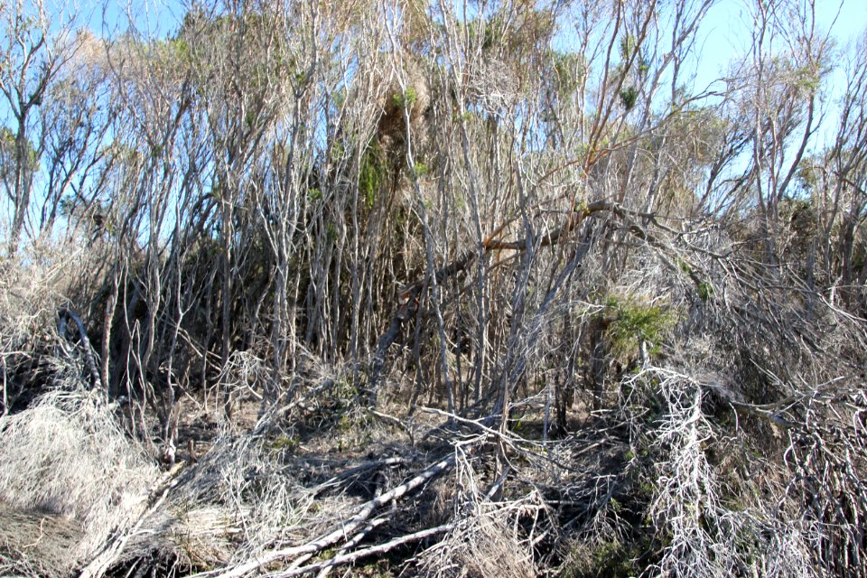 Bundeena-100816 58 photo