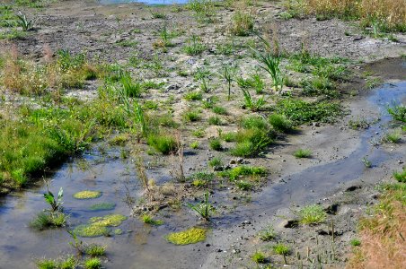 Biotope2
