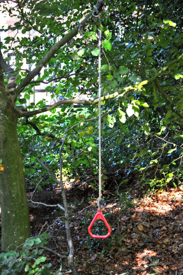 Kein Zweifel: In diesem Wald herrscht Leinenzwang