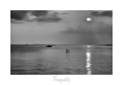 Tranquility photo