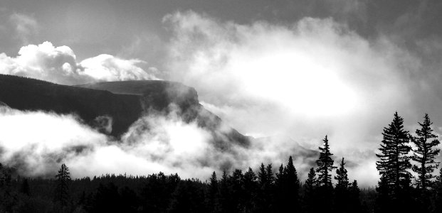 CAMPSITE (7-19-2015) 9600 ft, near bristol head, mineral co, co -BW (9b)