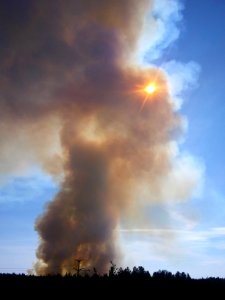 Tudor brush fire - Anchorage, AK