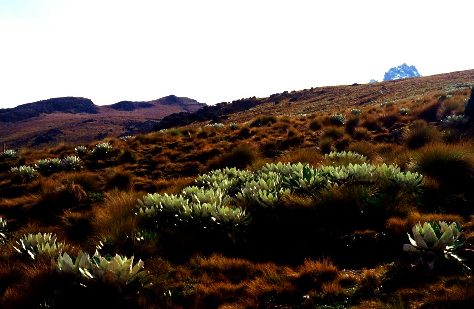 afrika 1994-mount. Kenia