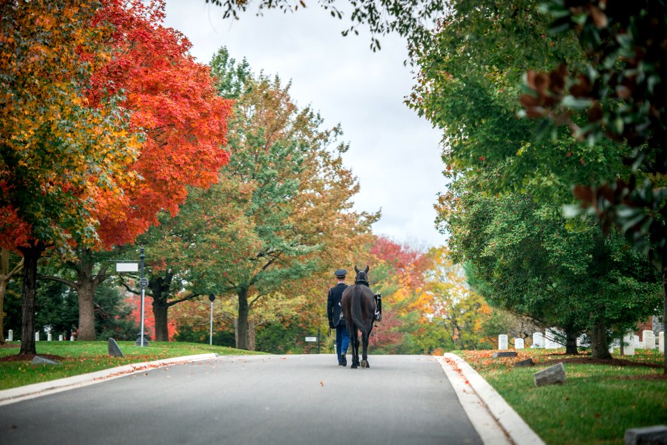 Fall Foliage 2018