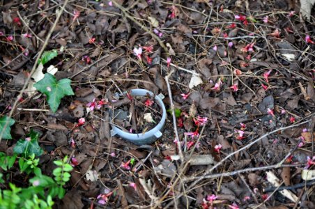 Natur vs. Tupperware photo