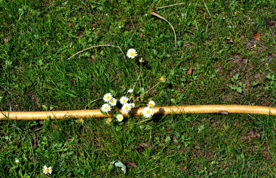 An der Hauptleitung