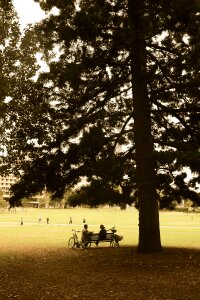 Dialog friends park