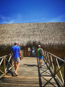 IMG 20171121 184521