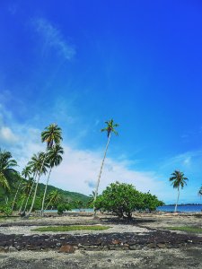 IMG 20171121 184256