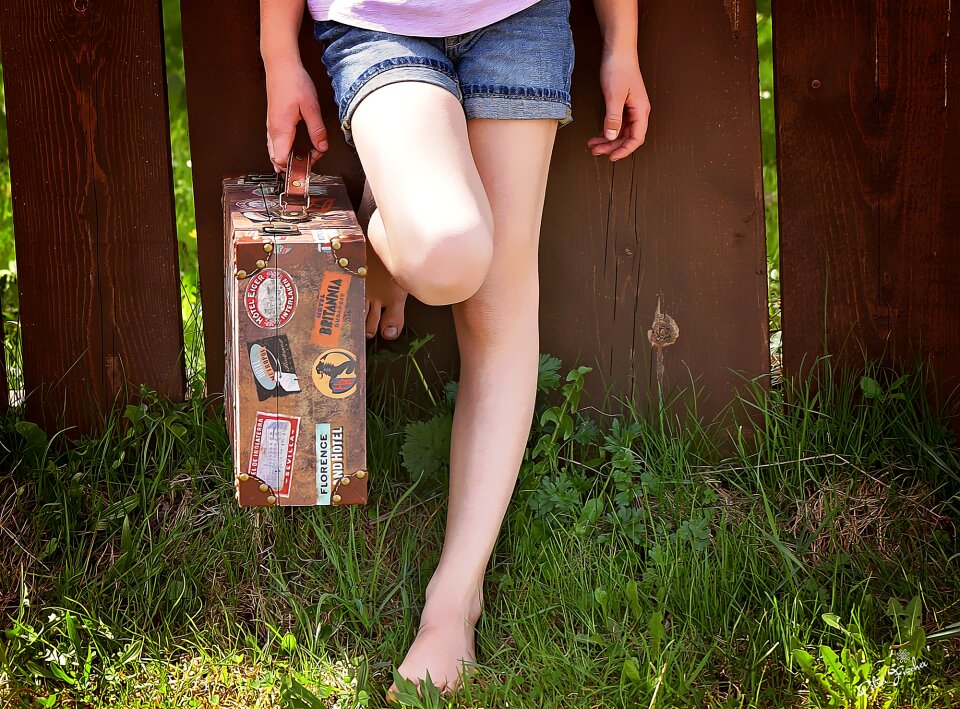 Fence grass luggage