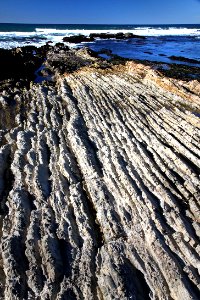5 - MONTANA DE ORO STATE PARK -020b (1)