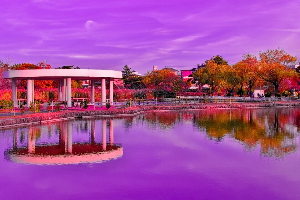 Freshwater reflection and mirrors art