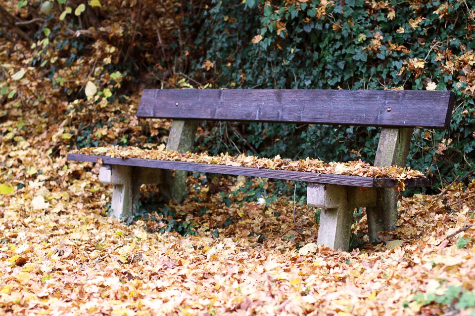 Bank autumn seasons