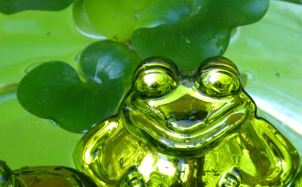 Water glass figure