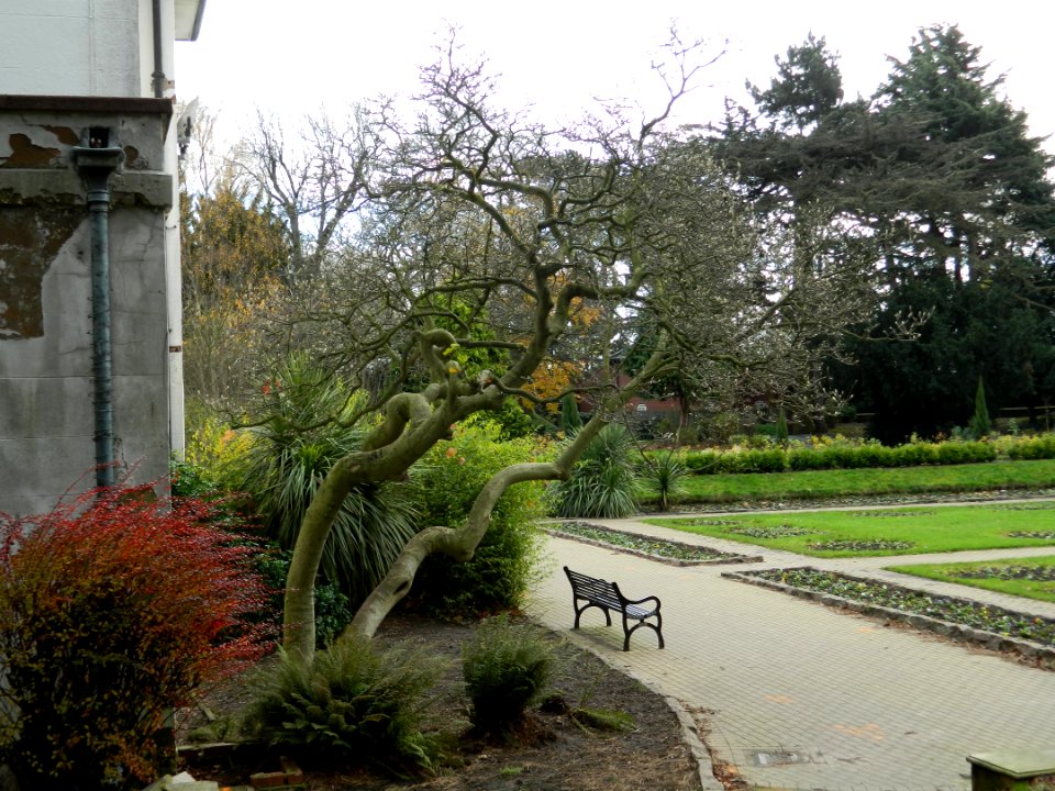 Rookery Park Dec 2015