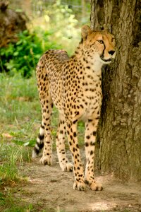 Nature vacations national park