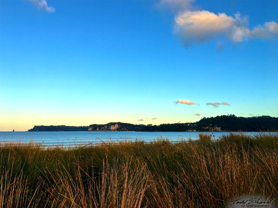 2017 03 NewZealand iPhone 21