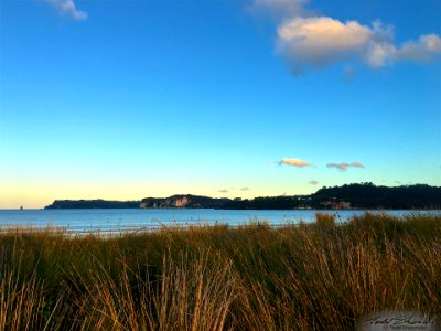 2017 03 NewZealand iPhone 21