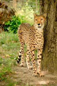 Nature vacations national park