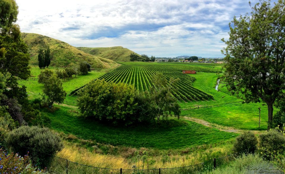 2017 03 NewZealand iPhone 33