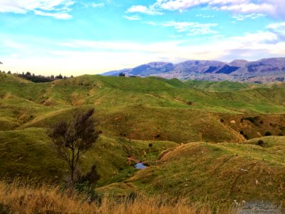 2017 03 NewZealand iPhone 30