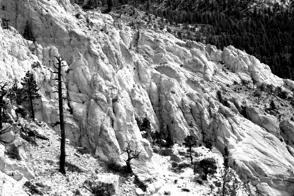 HELL'S BACKBONE (6-13) boulder mt, garfield co, ut -03 BW