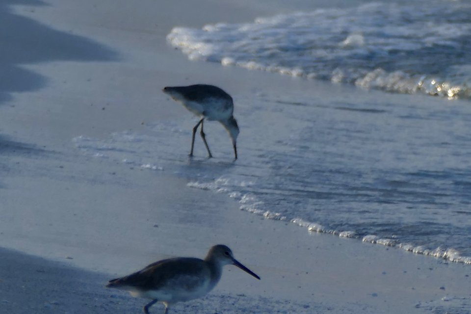 Pass-A-Grille Beach