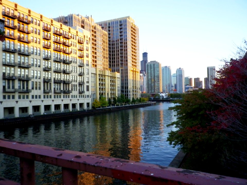 Chicago River @ Chicago Ave