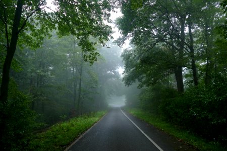Pierce Stocking Scenic Drive - Sleeping Bear Dunes