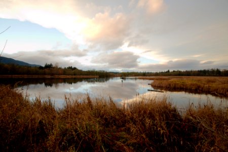 Marsh reflection photo