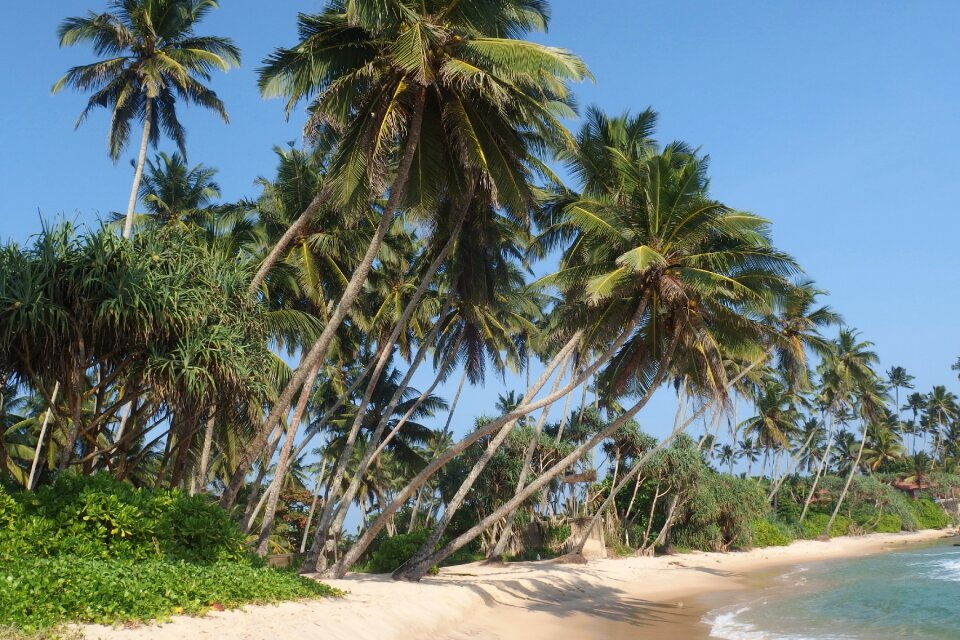 Beach dickwella sea