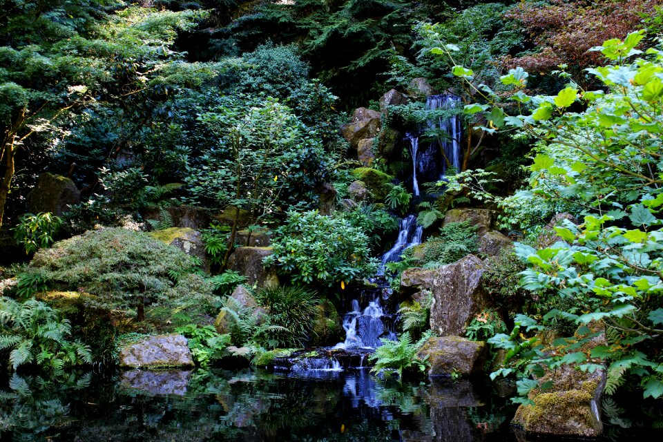 Landscape creek outdoor