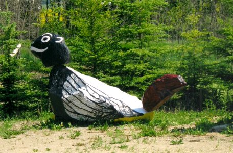 Middle Lake, Saskatchewan - Skunk