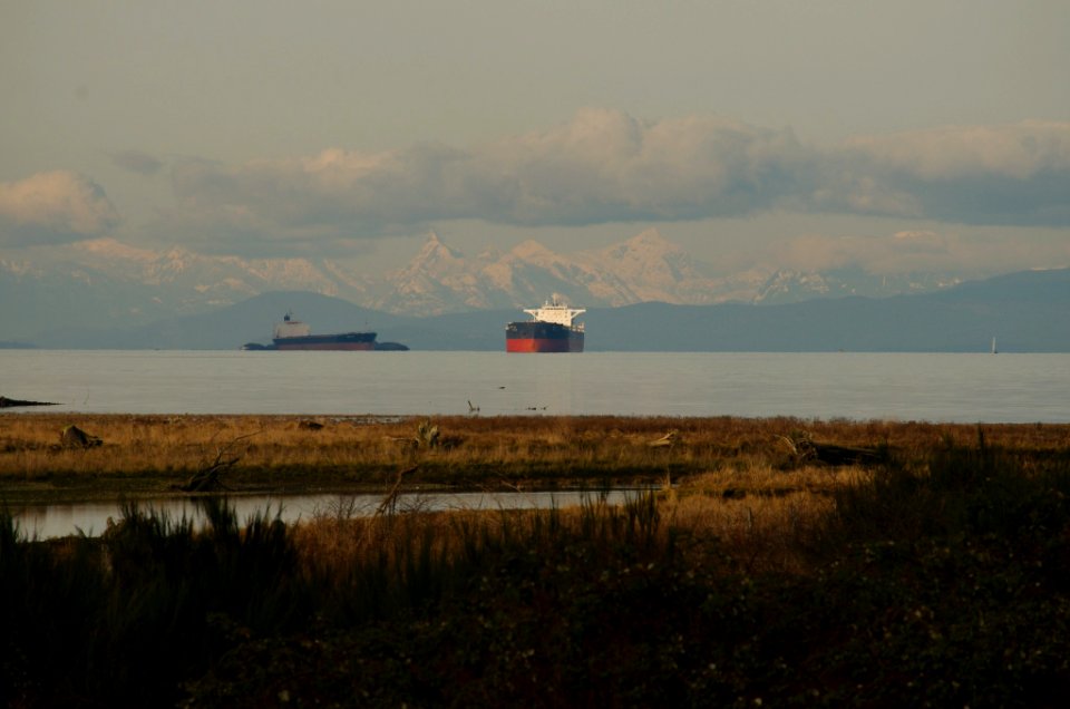 Ships seen from the Estuary