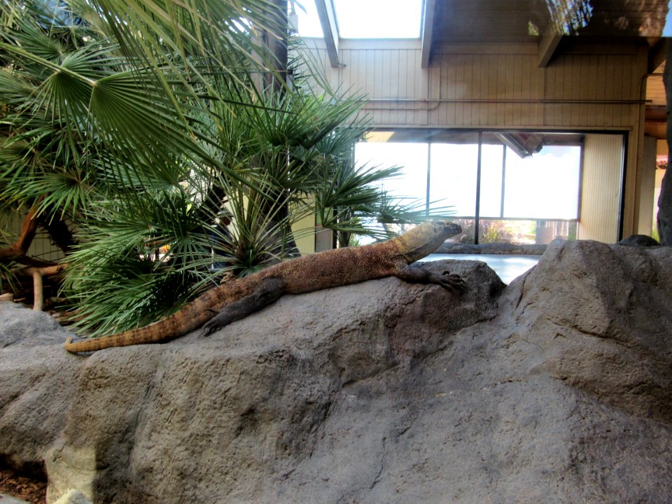 IMG 4653 (2)